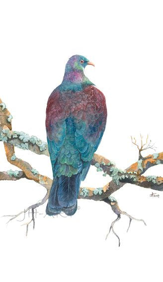 Jacqueline Hocquard 'Kererū' | A4 Paper Print