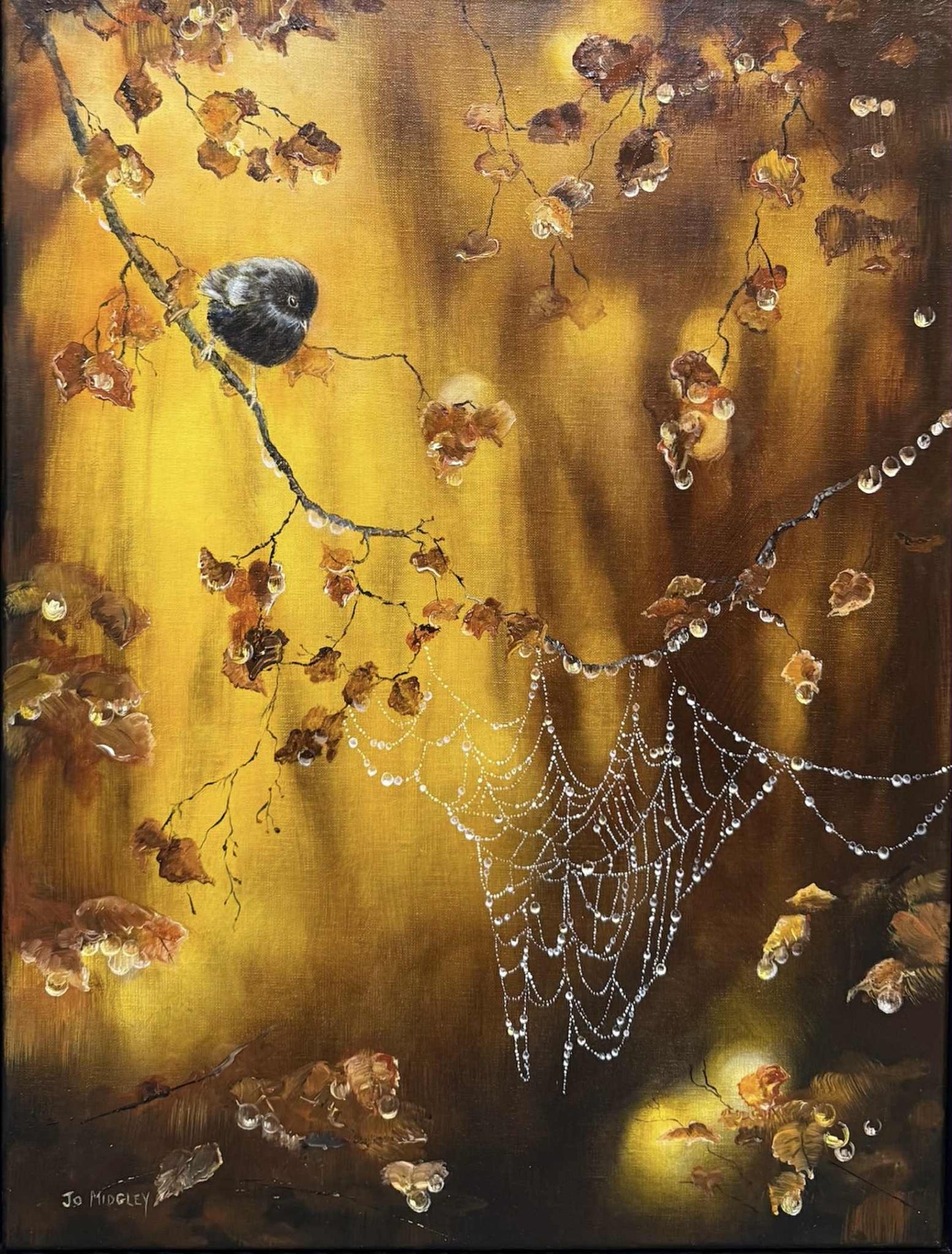 Jo Midgley 'Black Robin Magic I' | Original Painting