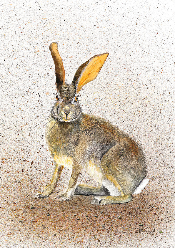 Jacqueline Hocquard 'A Few Grey Hare’s’ | A4 Paper Print
