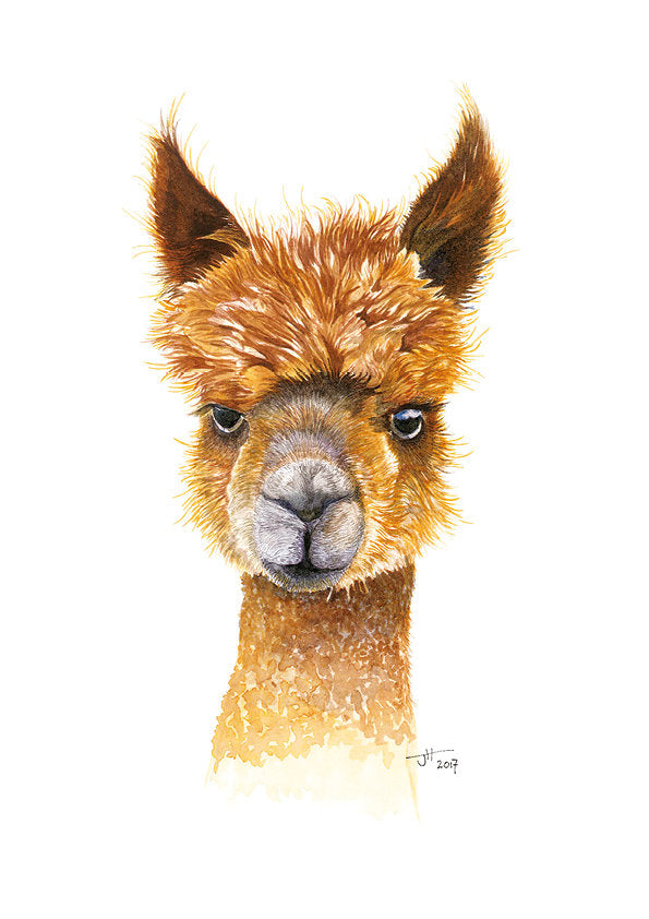 Jacqueline Hocquard ‘Alpachino’ | A5 Paper Print