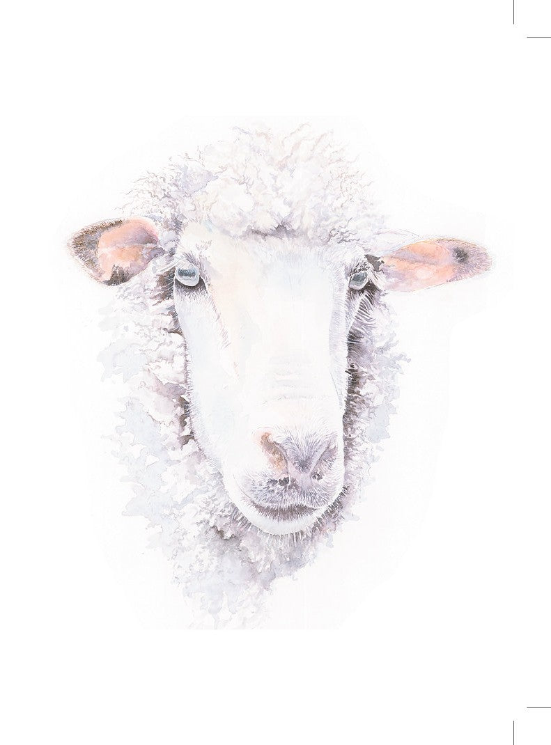 Jacqueline Hocquard ‘Here’s Looking At Ewe’ | A5 Paper Print