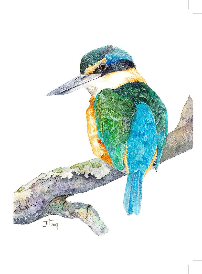 Jacqueline Hocquard ‘Kingfisher’ | A5 Paper Print