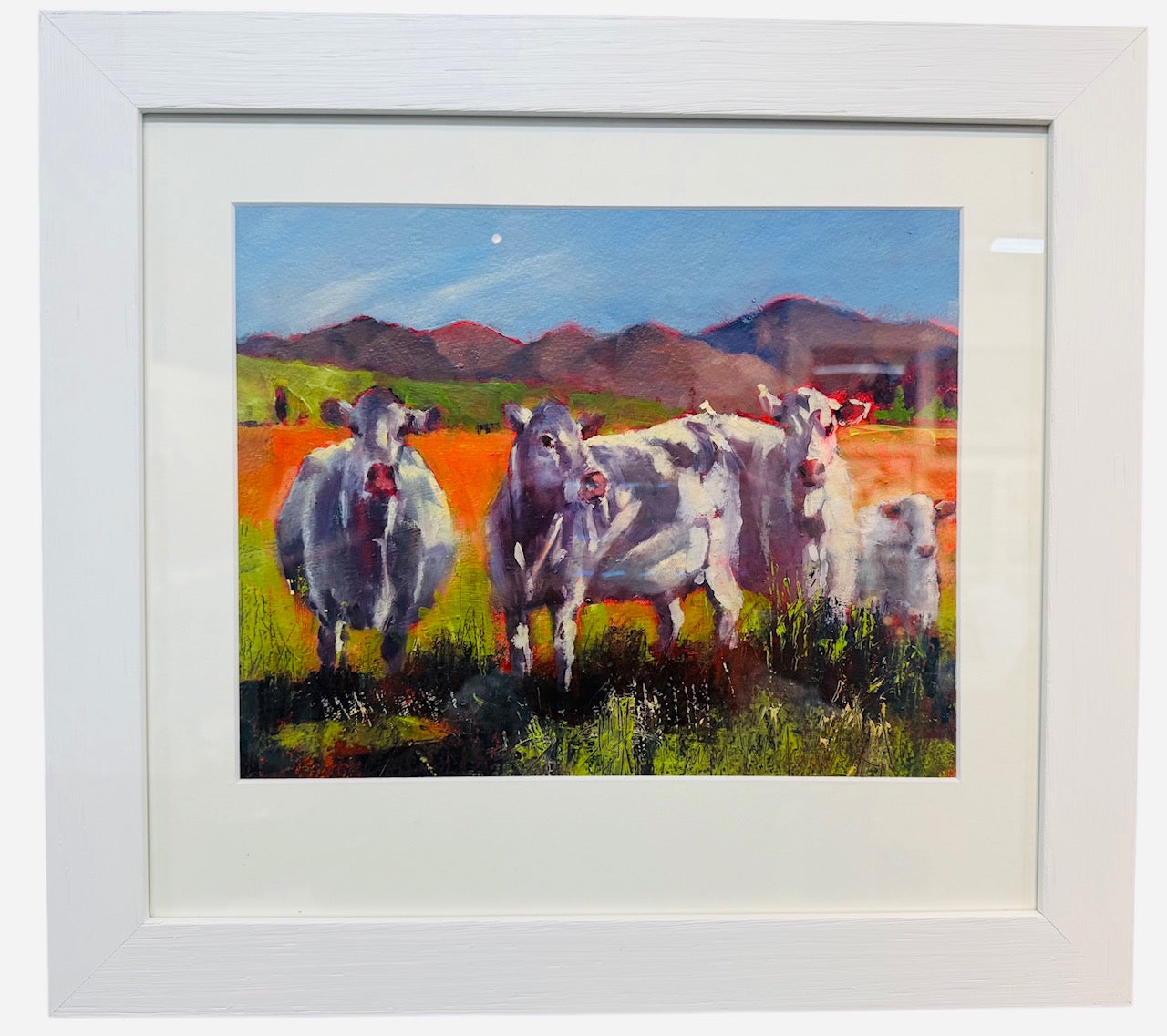 Jane McIntosh ‘Charolais and Calf’ | Original Painting