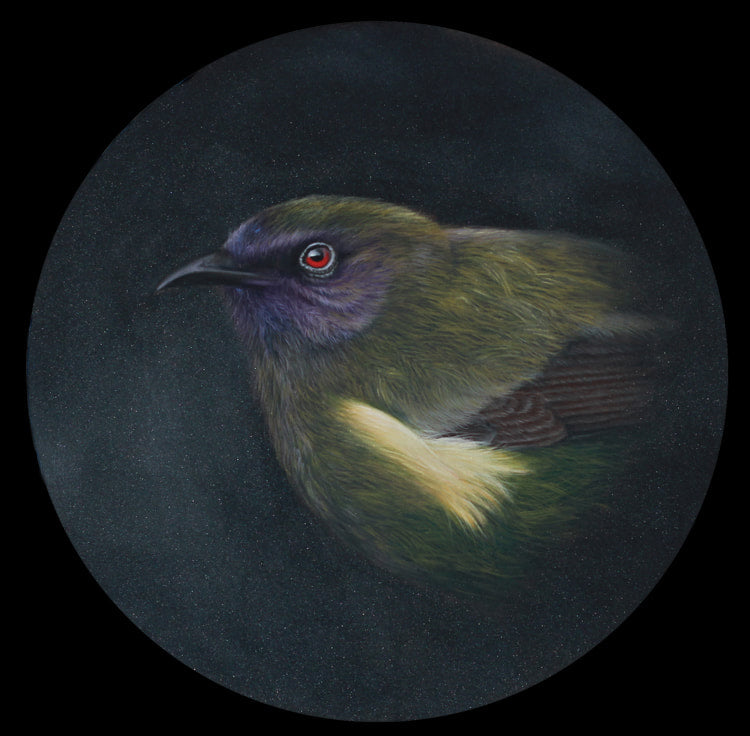 Karen Rankin Neal ‘The Songster’ | Paper Print