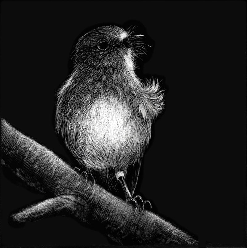 Karen Rankin Neal ‘Toutouwai’ | Paper Print
