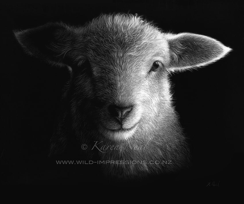 Karen Rankin Neal ‘Two Shakes Of A Lamb’s Tail’ | Paper Print