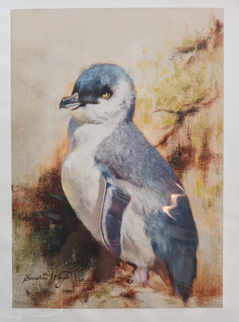 Sandra Whyte 'Little Blue Penguin' | Paper Print Large
