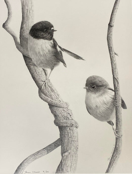 Phill Dunn 'Tom Tits' | Large Paper Print