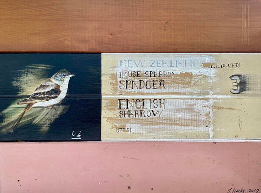 Jason Hicks ‘NZ House Sparrow’ | Original Painting