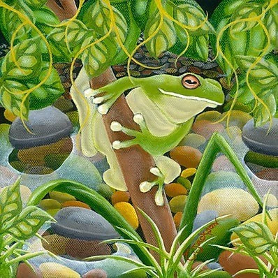 Tracy Jackson 'Baby Tree Frog' oil on boxed canvas 200mmx200mm