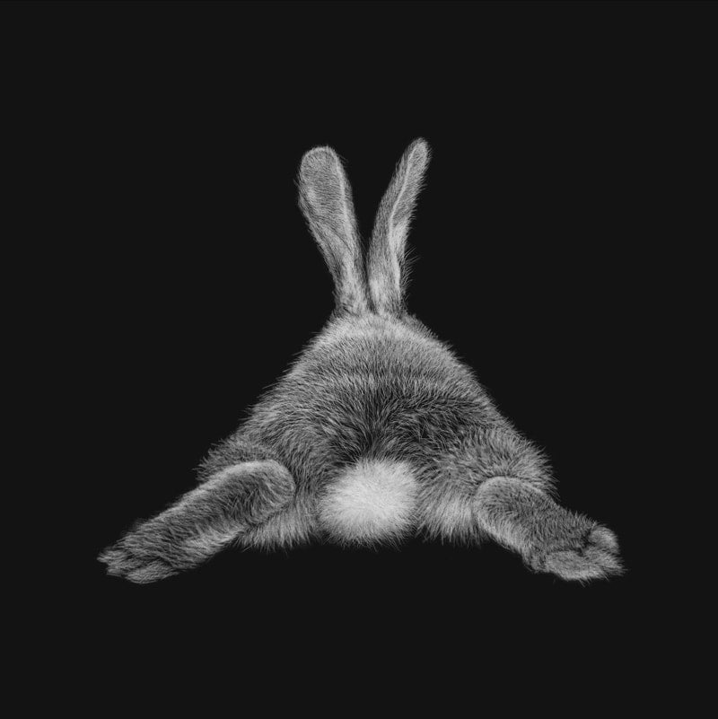 Karen Rankin Neal ‘Cotton Tail’ | Paper Print