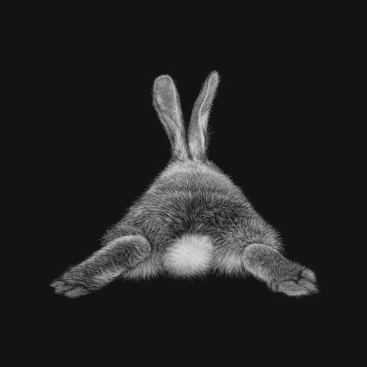Karen Rankin Neal ‘Cotton Tail’ | Paper Print