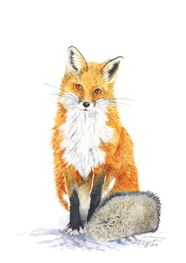 Jacqueline Hocquard 'Crafty Paws’ | A5 Paper Print