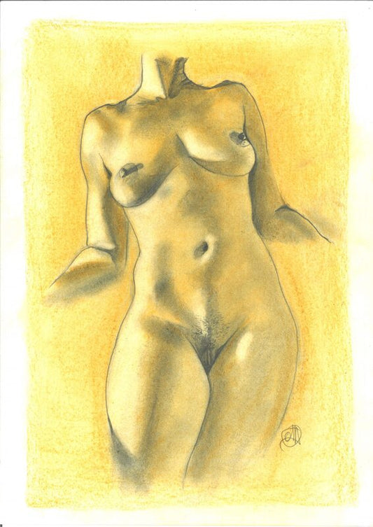 Olivier Duhamel 'Dove' | Original Pastel