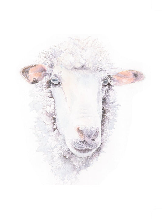 Jacqueline Hocquard ‘Here’s Looking At Ewe’ | A5 Paper Print
