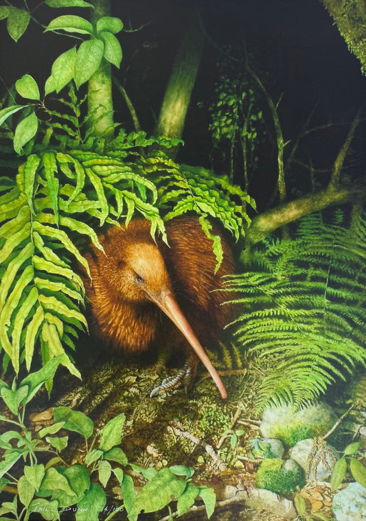 Phill Dunn 'Kiwi' | Large Paper Print