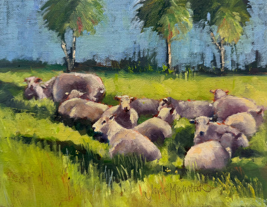 Jane McIntosh ‘Resting Sheep’ | Original Painting