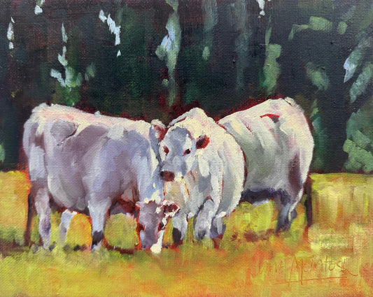 Jane McIntosh ‘Affection’ | Original Painting