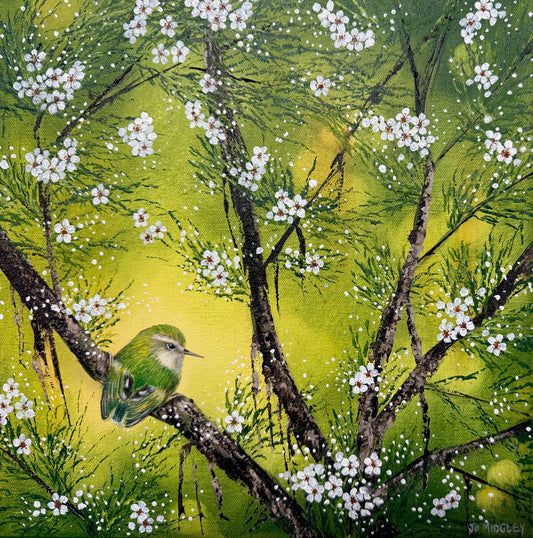 Jo Midgley 'Titipounamu I' Rifleman | Orginal Painting