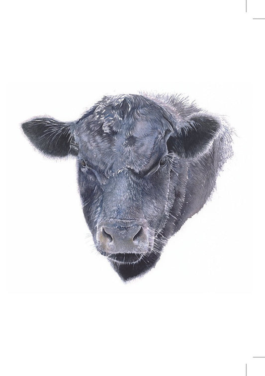 Jacqueline Hocquard ‘Lov A Bull’ | A5 Paper Print