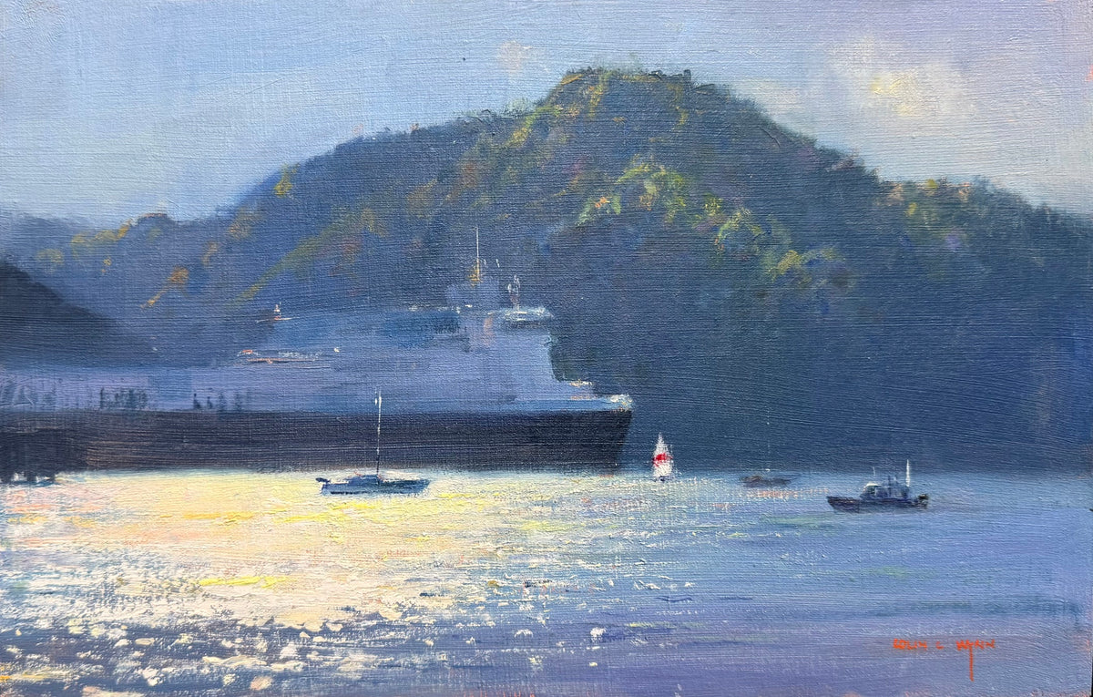 Colin Wynn 'Sun on Harbour in Picton' | Original Painting