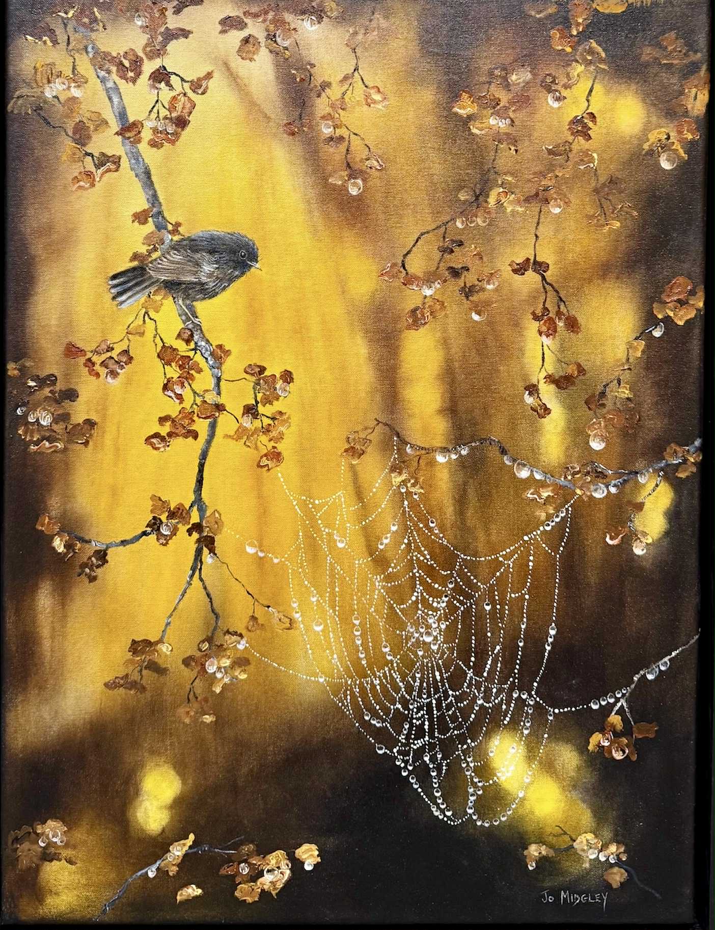 Jo Midgley 'Black Robin Magic II' | Original Painting