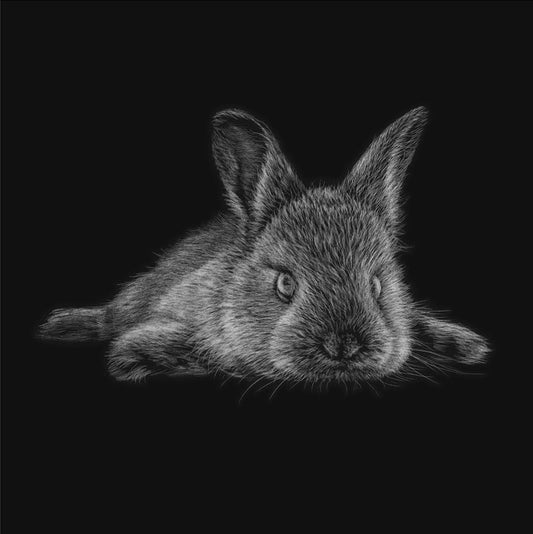 Karen Rankin Neal ‘Cotton Toes’ | Paper Print