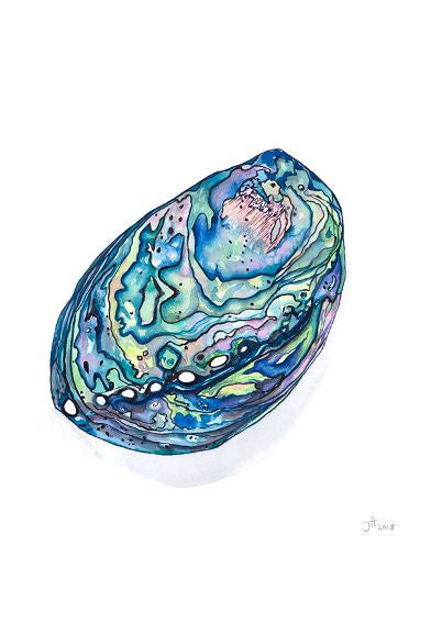 Jacqueline Hocquard 'NZ Paua' | A4 Paper Print