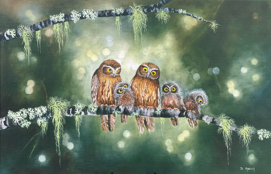 Jo Midgley 'What A Hoot' l Canvas Print